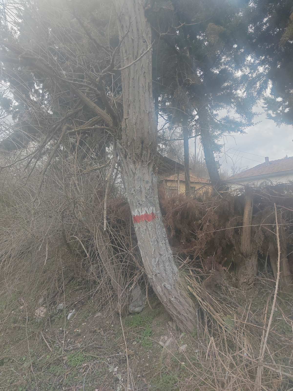 viberimage2024-02-2112-29-10-341