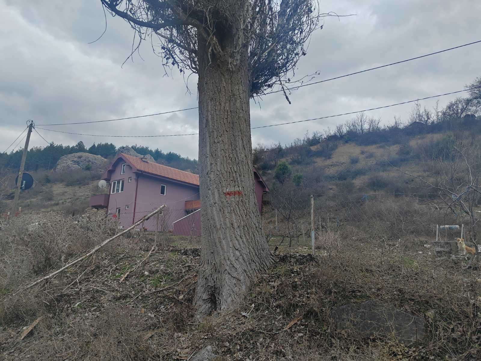 viberimage2024-02-2112-29-10-375