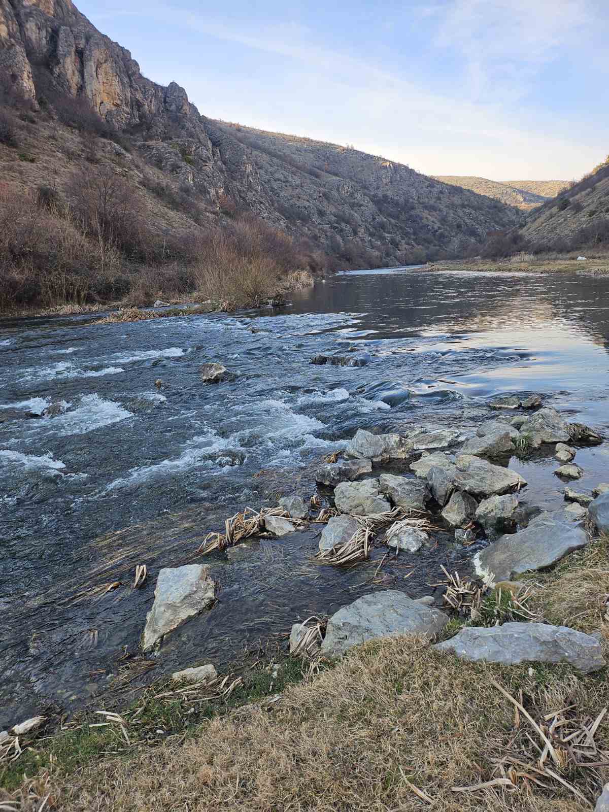 viberimage2024-03-1812-22-37-228