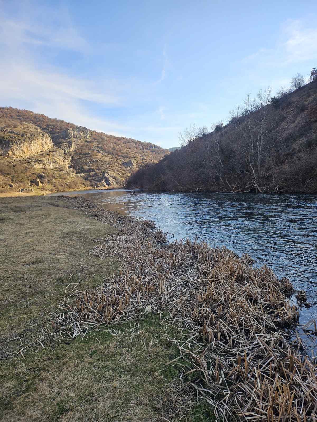 viberimage2024-03-1812-22-37-422