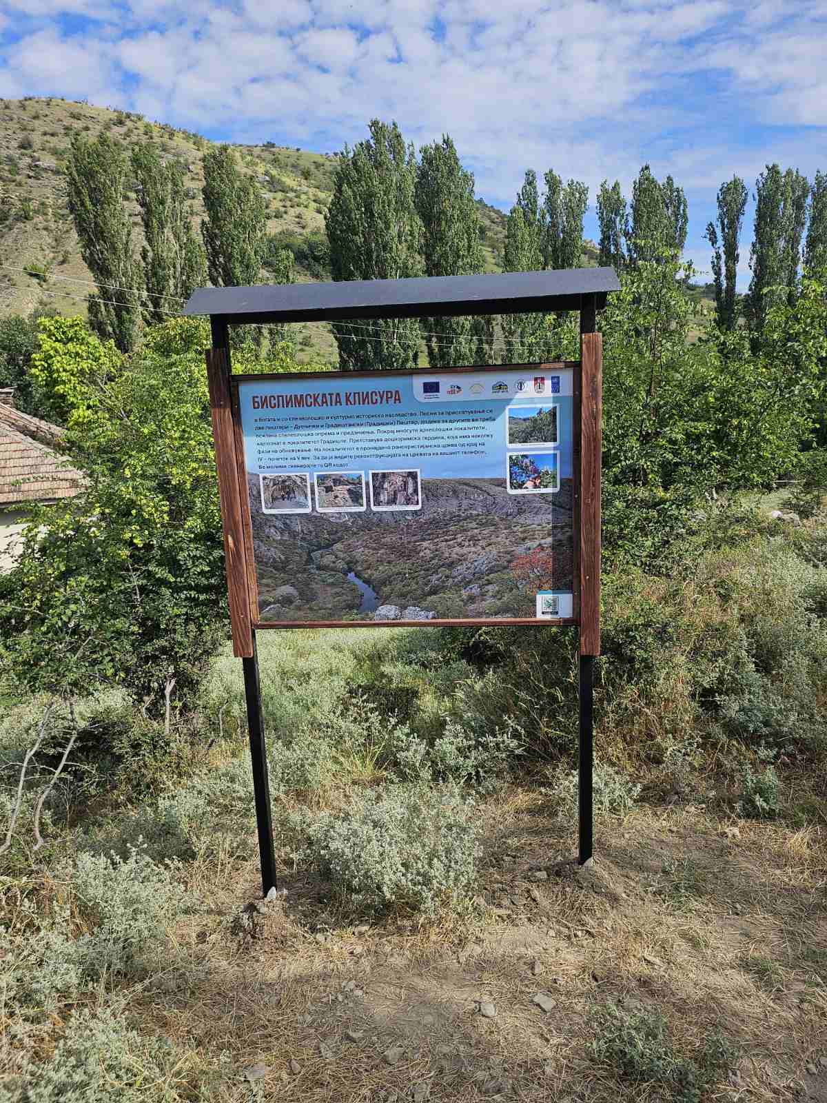 viberimage2024-07-0514-04-58-386